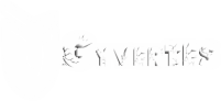 Logo - GyverTes