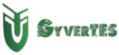 Logo - GyverTes